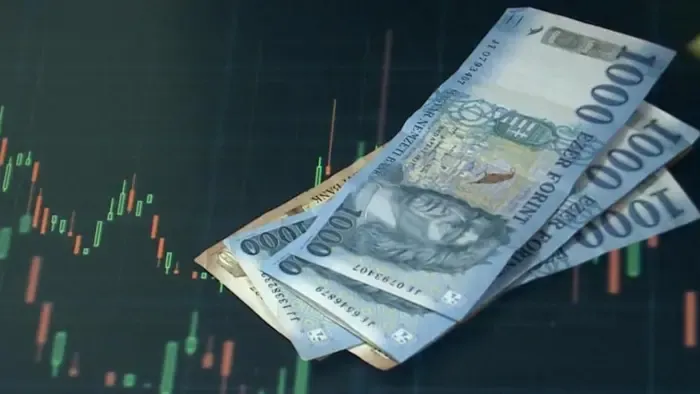 Brüsszel útja rezsiválságba vezet, a magyar út a nyugodt és fizethető világba