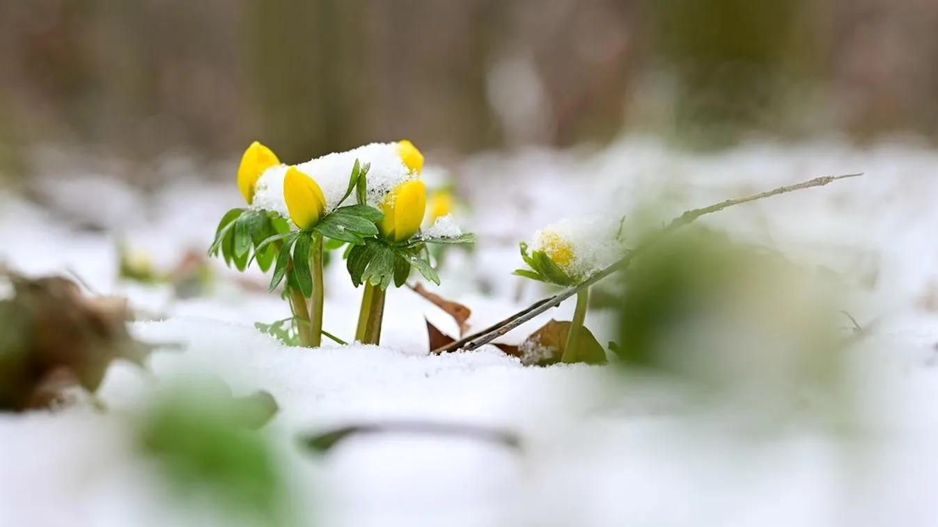 Nem hoz nyugalmat a tavaszias időjárás: figyelmeztetést adtak ki több térségre