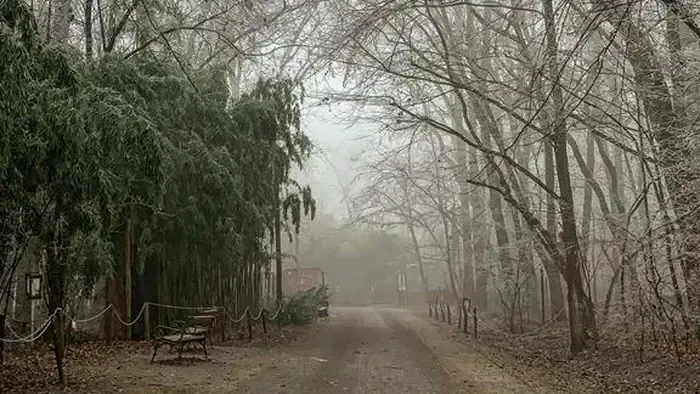 Így jósoltak a szegedi medvék, kiderült, meddig marad a tél – Videó