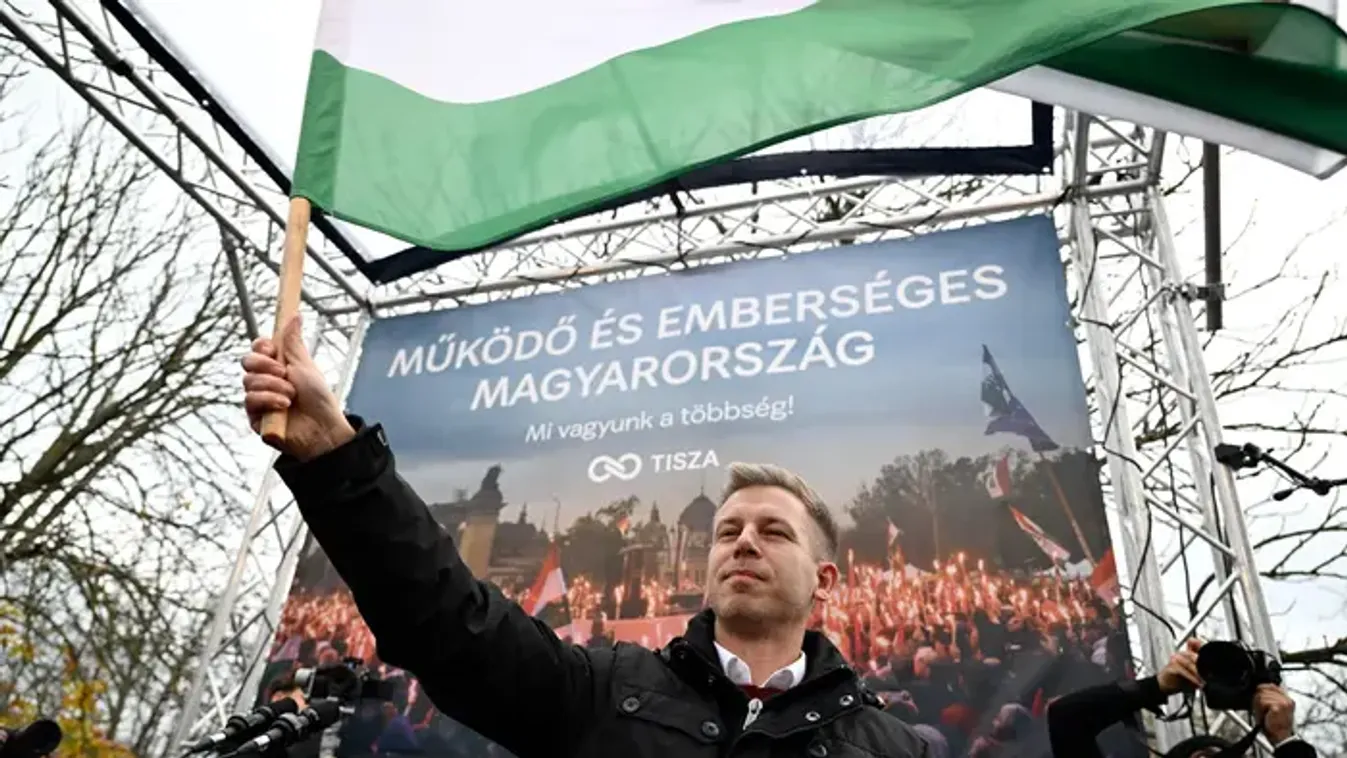 Magyar Péter megtalálta az állatkert eltűnt kacsáit