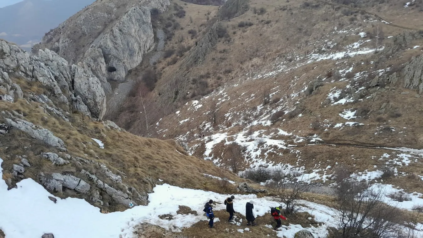 Medvétől megrémült két magyar került veszélybe Erdélyben