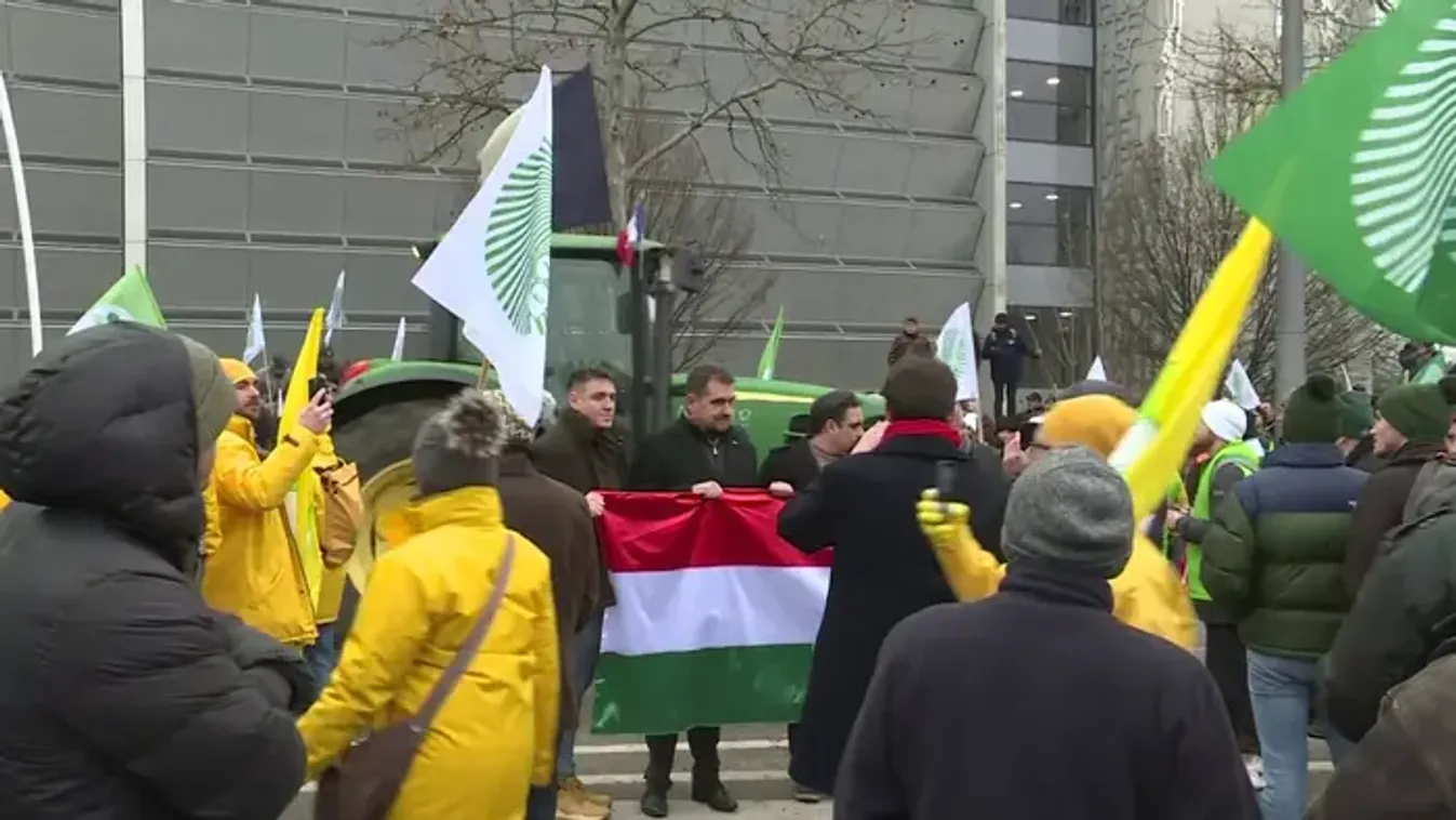 Bóka János: Magyar Péter szövetségesei cserben hagyták az európai gazdákat