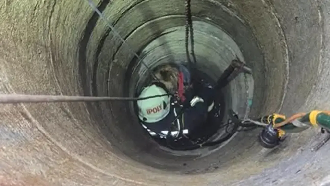 Rémálom egy családi ház udvarán - versenyt futottak az idővel Terényben