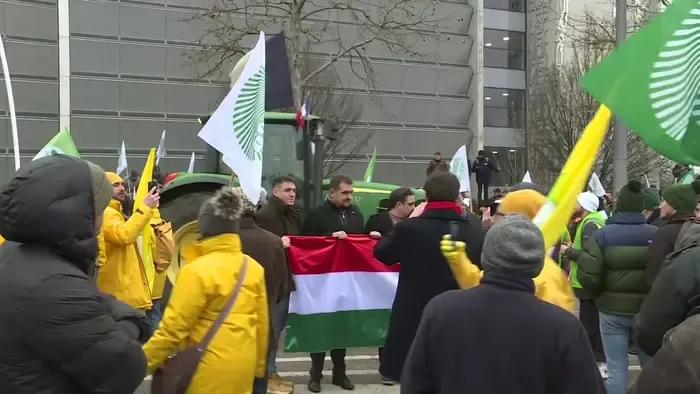 Bóka János: Magyar Péter szövetségesei cserben hagyták az európai gazdákat