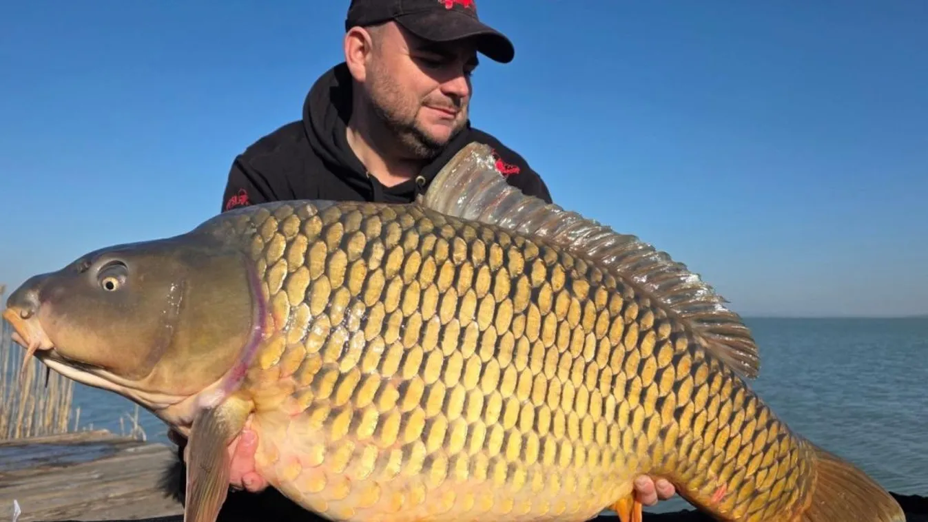 Óriási, 23,6 kilogrammos szörnyet fogtak ki a Balatonból