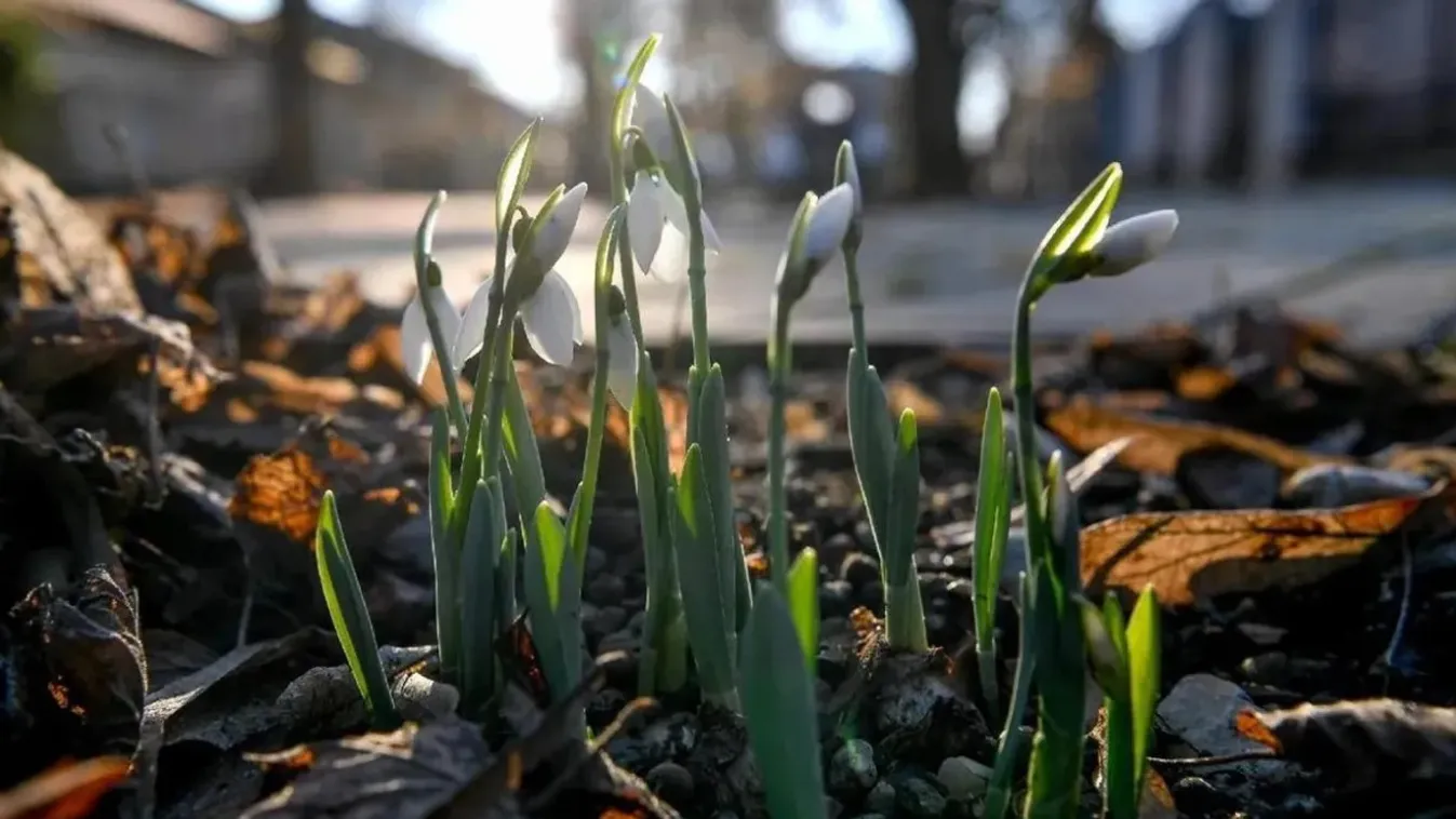 Talán egész Magyarország erre várt, mutatjuk a részleteket