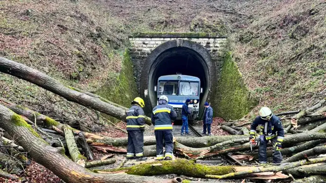 Meg kellett állni a vonatoknak az erdő közepén a Bakonyban, döbbenetes fotókon az oka