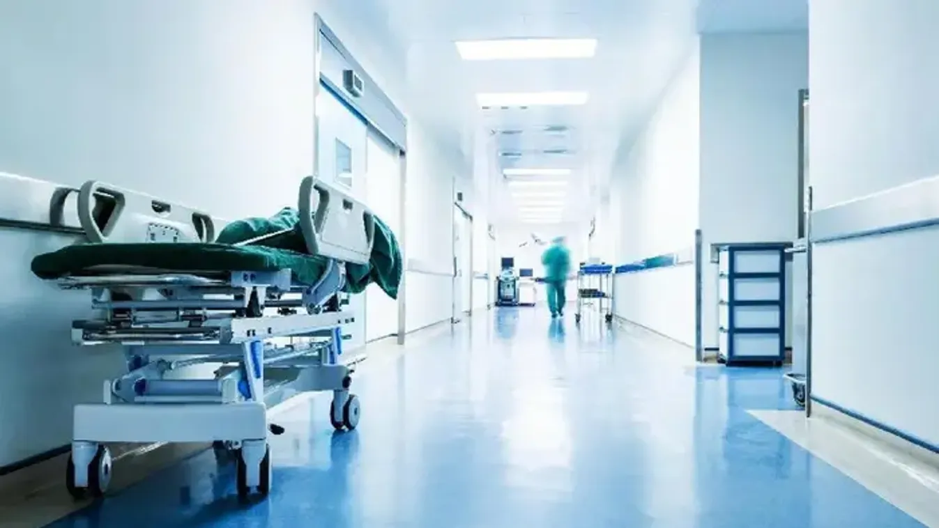 Nem fizet egy fillért sem a biztosító az 56 éves nőnek, extrém sportnak tartják a lovaglást