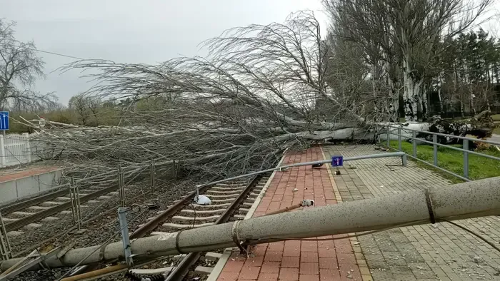 Dráma Zamárdinál, hatalmas fák dőltek a vasúti sínekre - Videó