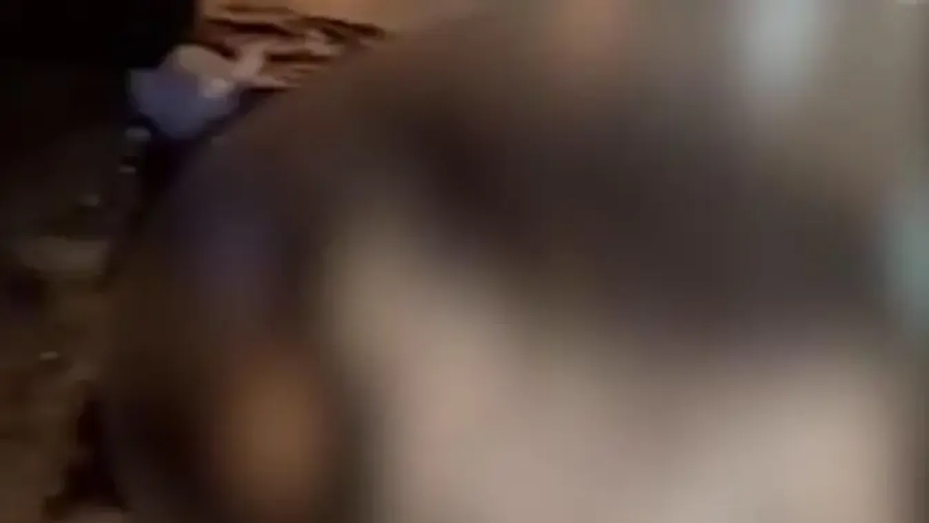 Kiugrott az egyetem ablakán egy 25 éves hallgató, felkavaró felvételek készültek a helyszínen