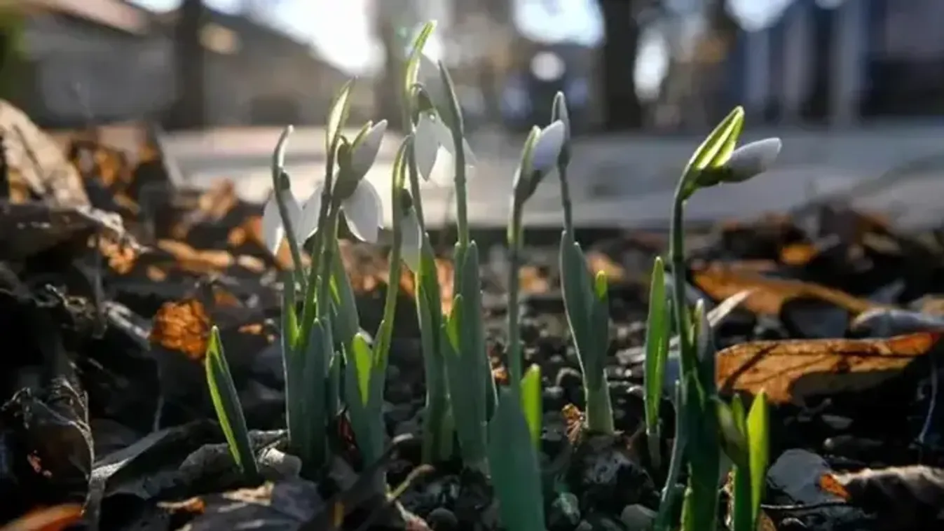 Időjárás-jelentés: Ez vár ránk a nemzeti ünnepen