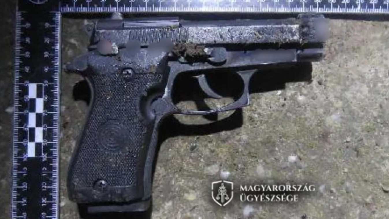 Viperával támadtak meg egy kocsmárost, lesben állva estek neki