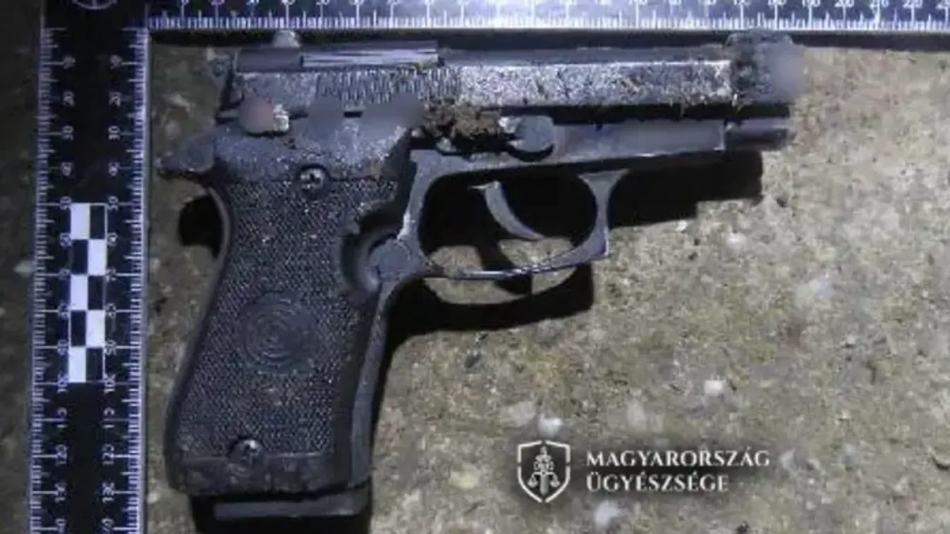 Viperával támadtak meg egy kocsmárost, lesben állva estek neki