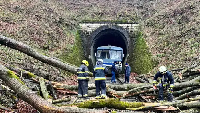 Meg kellett állni a vonatoknak az erdő közepén a Bakonyban, döbbenetes fotókon az oka