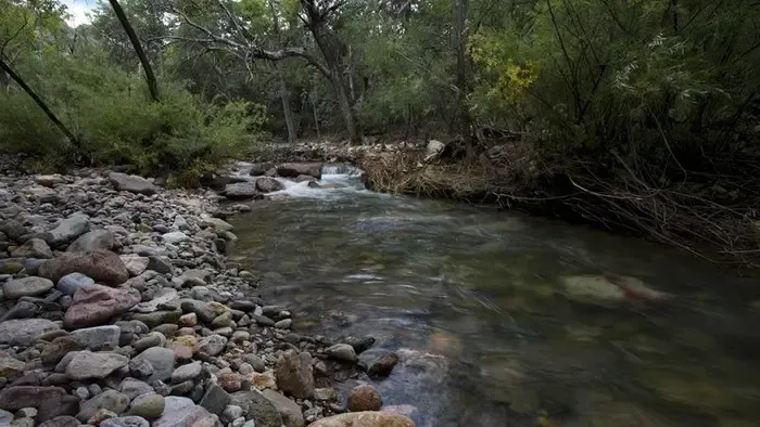 Tragédiába torkollt egy óvodai kirándulás, meghalt egy hároméves kisfiú
