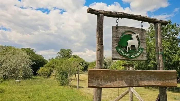 Döbbenetes felfedezést tettek egy lőrinci árokban, azonnal intézkedni kellett