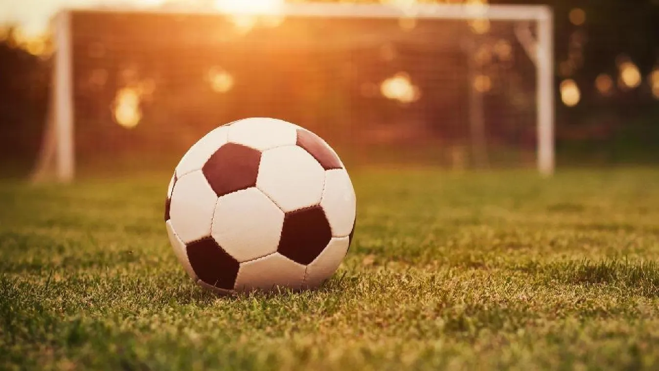 Brutális bundabotrány, közel 50 eljárás indult