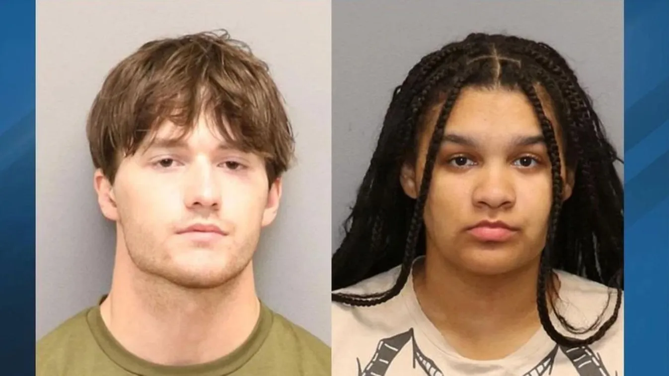 Megkötözte, autóba tuszkolta, majd felgyújtotta volt főnökét barátnője segítségével