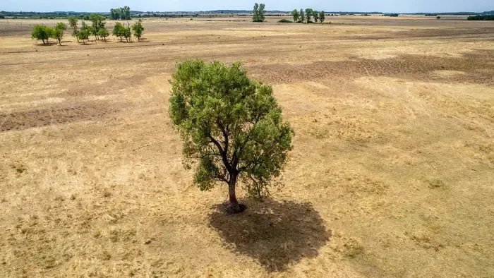 Riasztó jelek: az Alföld több részén kritikus a helyzet