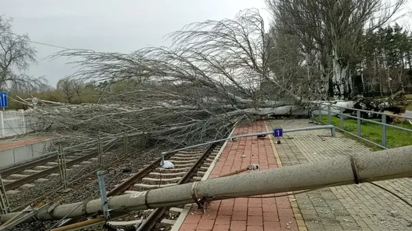 Dráma Zamárdinál, hatalmas fák dőltek a vasúti sínekre - Videó