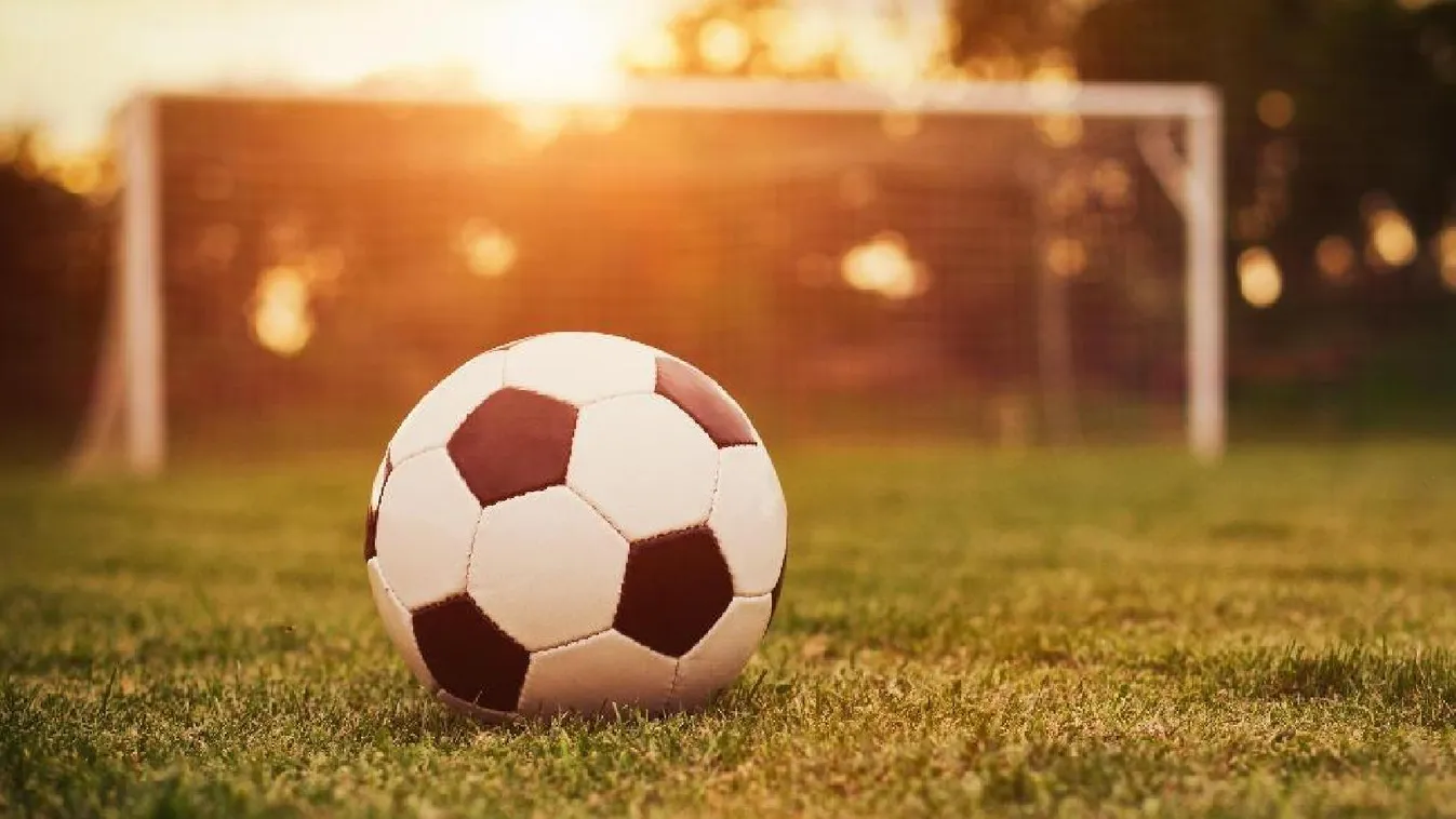 Döntött a labdarúgó szövetség: Azonnali hatállyal lapátra tették a válogatott szövetségi kapitányt