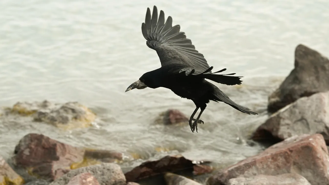 Orkánerejű szél csapott le a Balatonra - Kettészakadt az ország időjárása