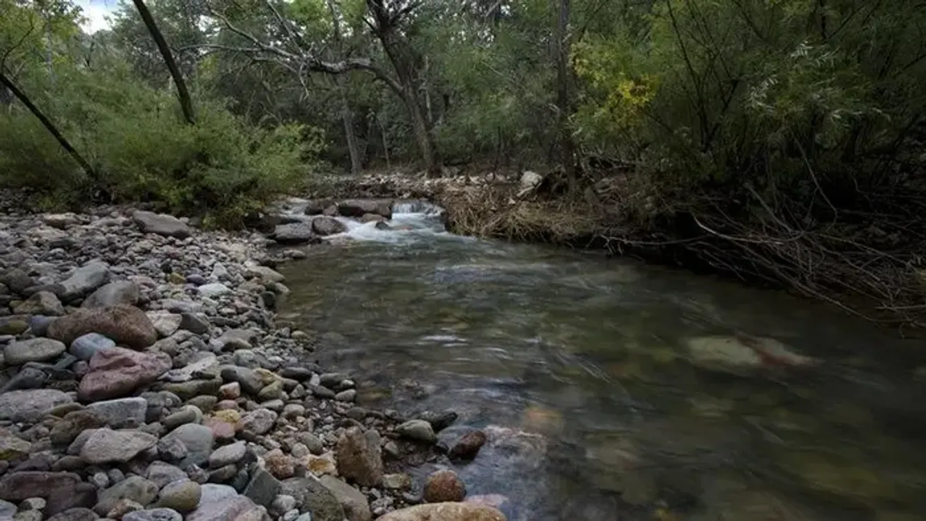 Tragédiába torkollt egy óvodai kirándulás, meghalt egy hároméves kisfiú