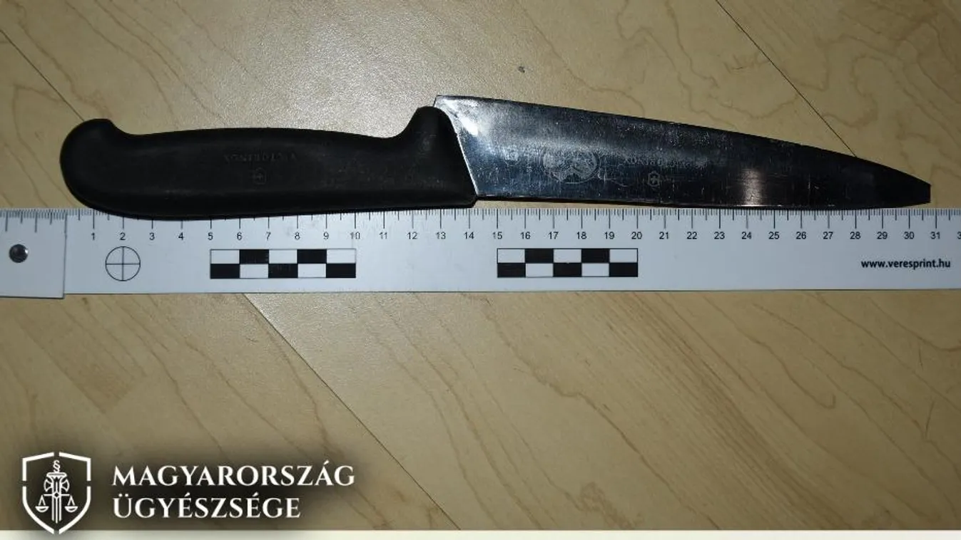 Késsel fenyegette a mentőket egy fertőszentmiklósi férfi