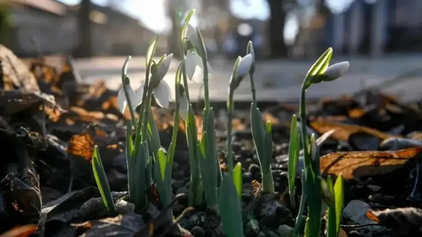 Időjárás-jelentés: Ez vár ránk a nemzeti ünnepen