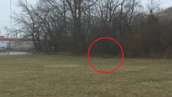 Holttesteket találtak bőröndökben, két tinilány az áldozat