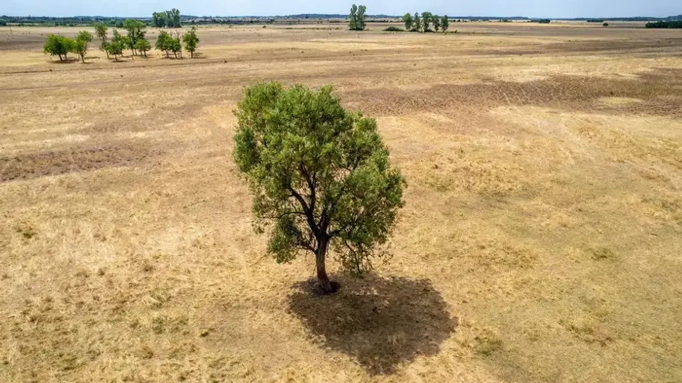 Riasztó jelek: az Alföld több részén kritikus a helyzet