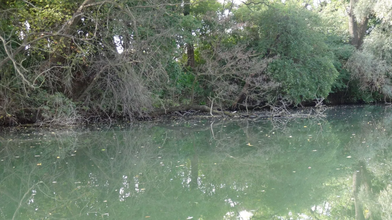 Különös tilalom lép életbe Győr-Moson-Sopronban – szabálymódosítás mellett döntött a szövetség