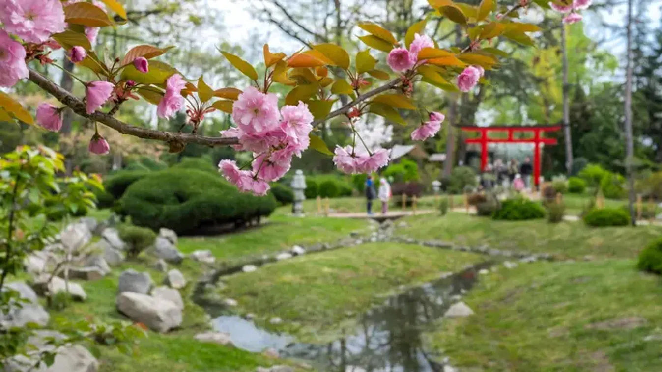 Végre jön, amit mindenki várt – érdemes bekészíteni a napszemüveget