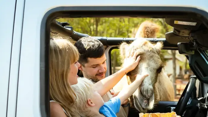 Igazi baby boom söpört végig Nagykőrösön, még a szakembereket is meglepte