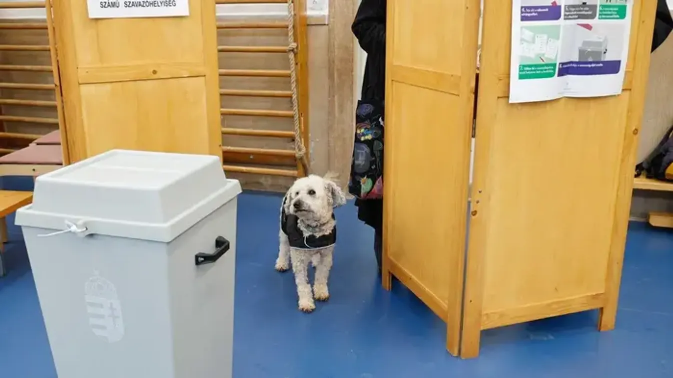 Rengetegen fognak az urnákhoz járulni vasárnap, figyelmeztetést adott ki a Nemzeti Választási Iroda