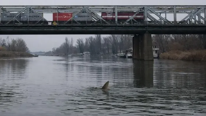 Rejtélyes fotó tartja lázban az internet népét – Ön szerint mire bukkanhattak a Dunában?
