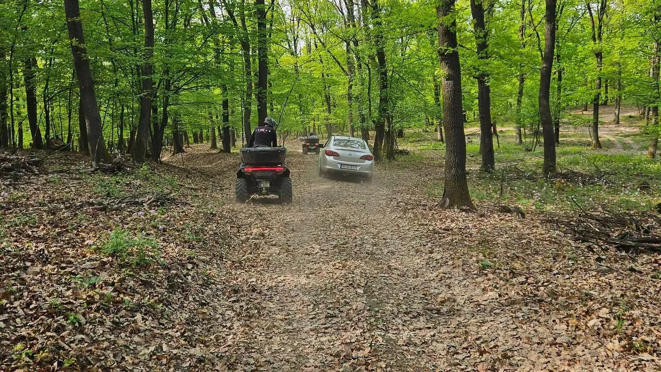 Erdőbe vitte a GPS az idős házaspárt Nagylócon, veszélybe kerültek
