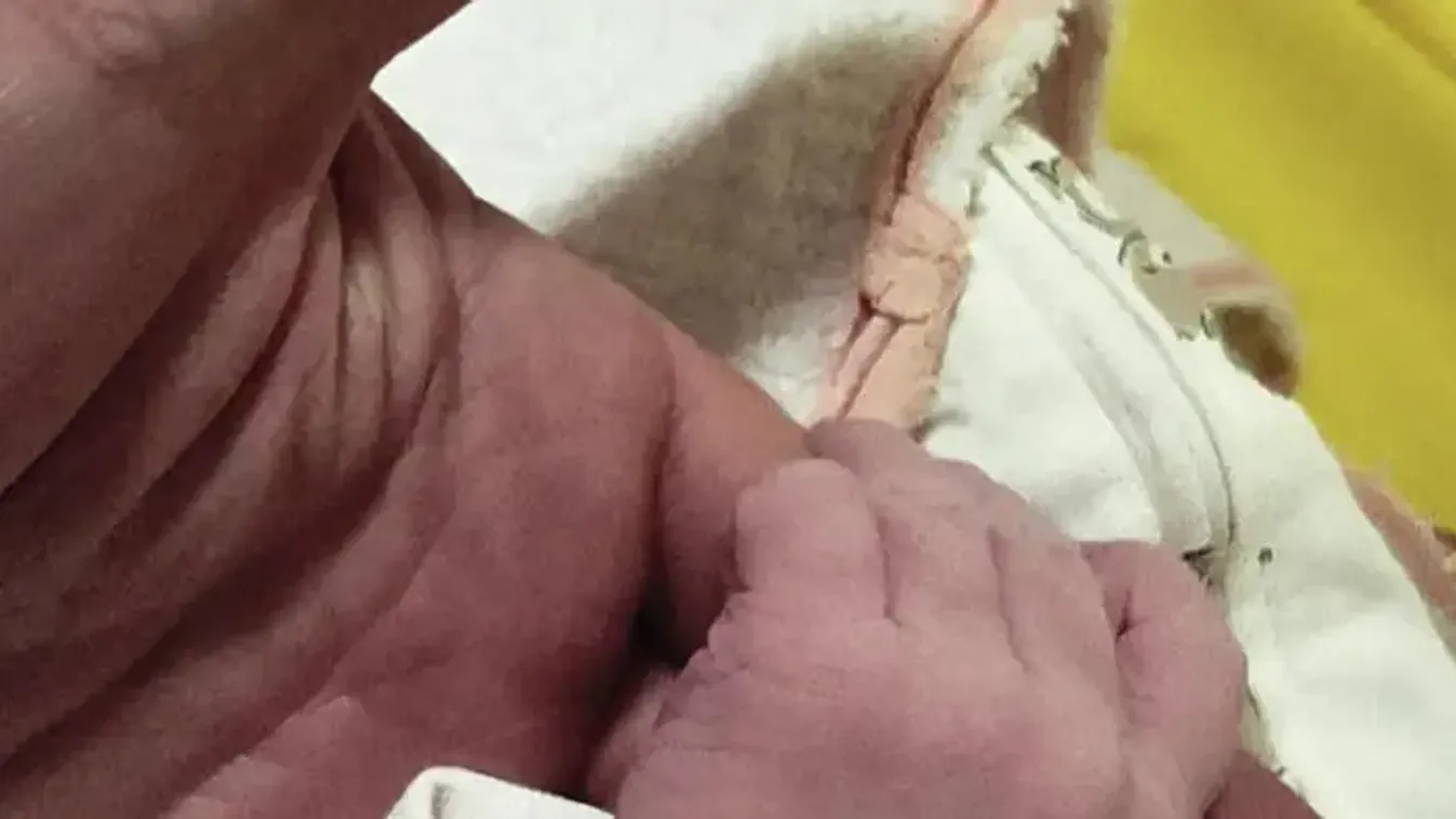 Megszületett Molnár Gusztáv kislánya