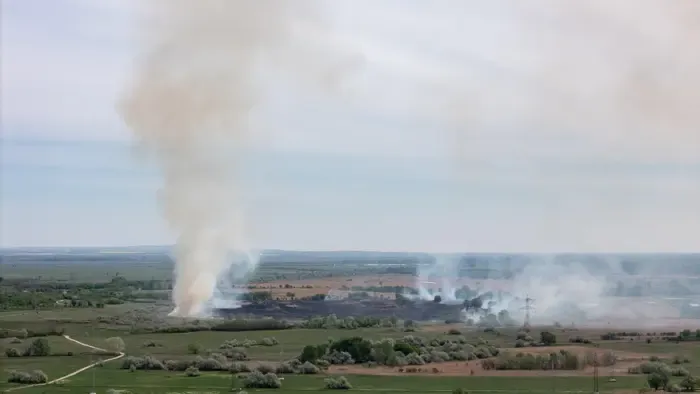 Több hektáron égett a nádas és száraz fű Várpalotánál