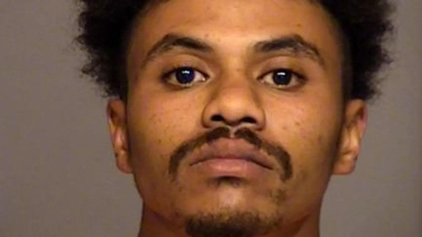 Csákánnyal végzett sérült féltestvérével a fészerben