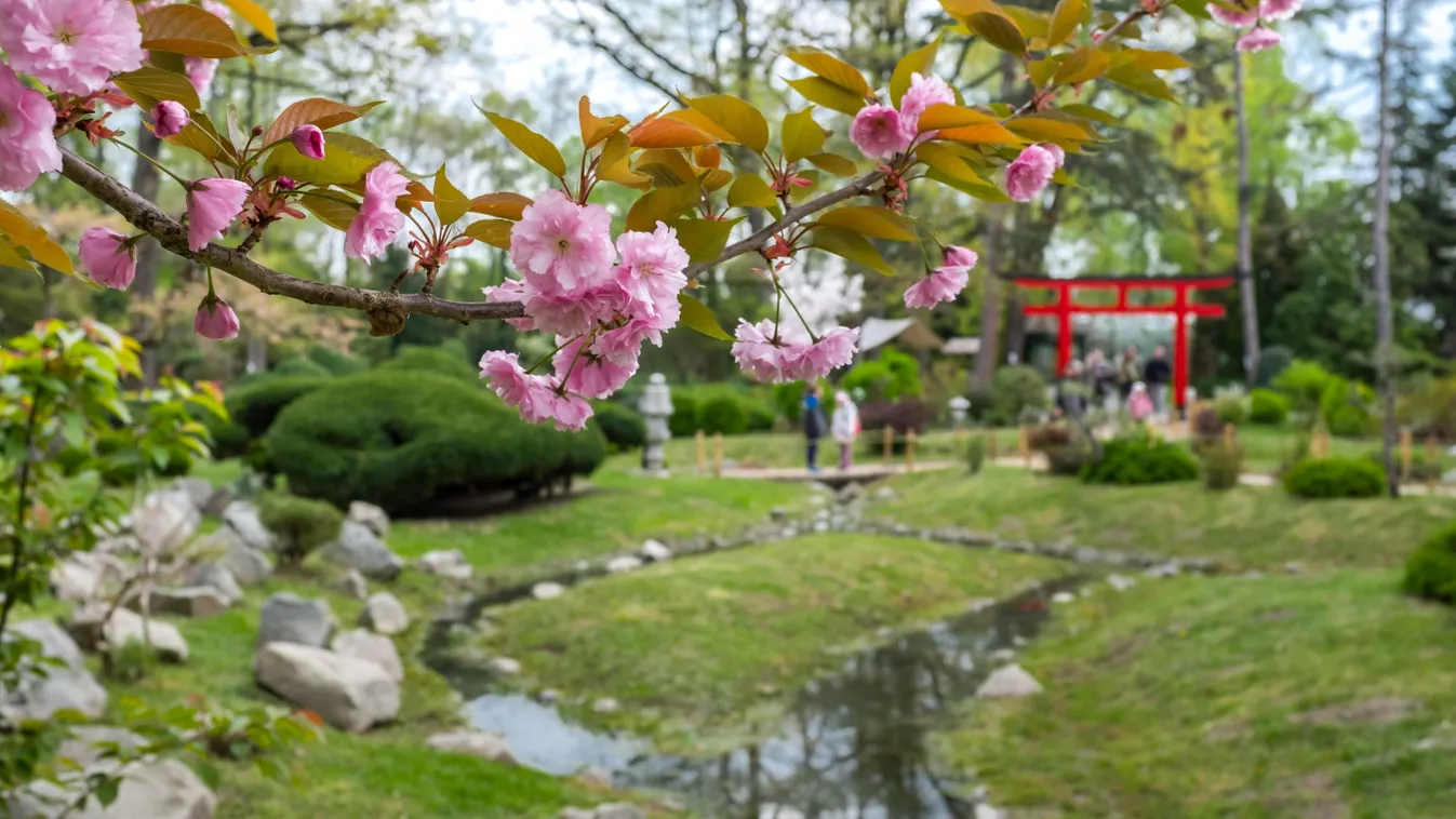 Végre jön, amit mindenki várt – érdemes bekészíteni a napszemüveget