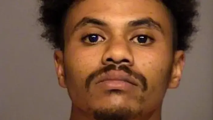 Csákánnyal végzett sérült féltestvérével a fészerben