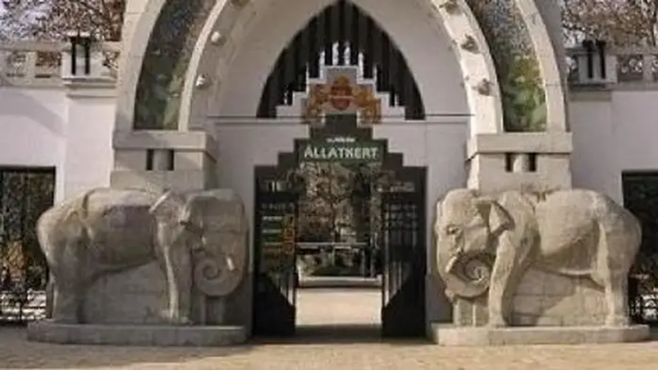 Megszakad a szív: búcsúzik a rajongók kedvence, Samu - fotóval