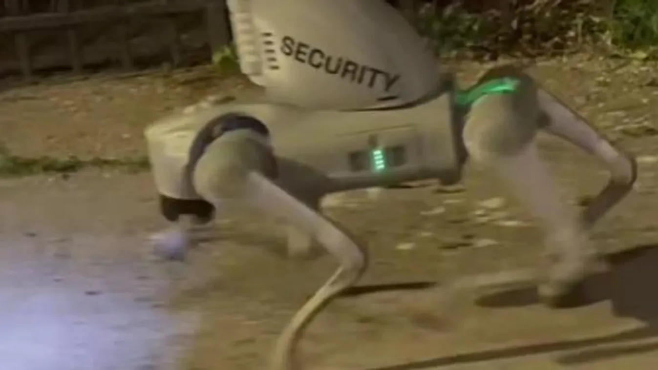 Robotkutyák űzték el a betolakodót - Új korszak a biztonságban