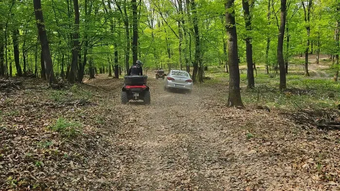 Erdőbe vitte a GPS az idős házaspárt Nagylócon, veszélybe kerültek