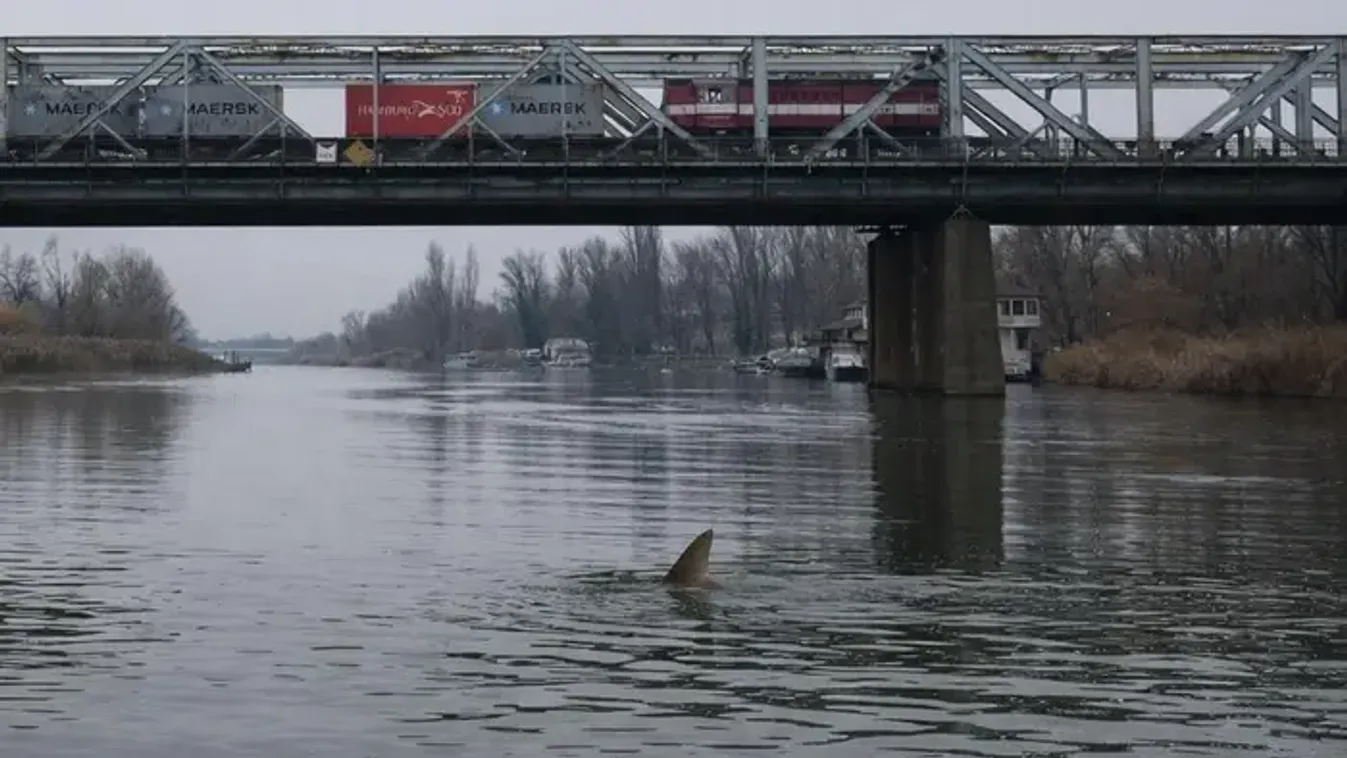 Rejtélyes fotó tartja lázban az internet népét – Ön szerint mire bukkanhattak a Dunában?