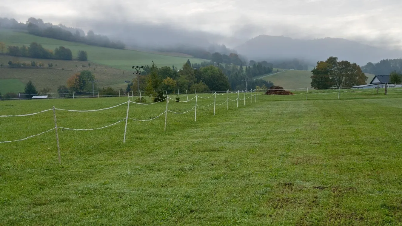 Mintha Hitchcock filmje elevenedne meg: Egyre több az áldozat, a gazdák tehetetlenek