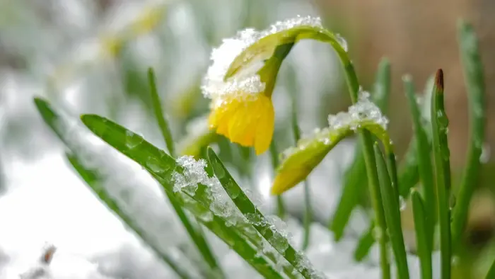 Szabadnapokat vett ki a tavasz – riasztást adtak ki több vármegyére