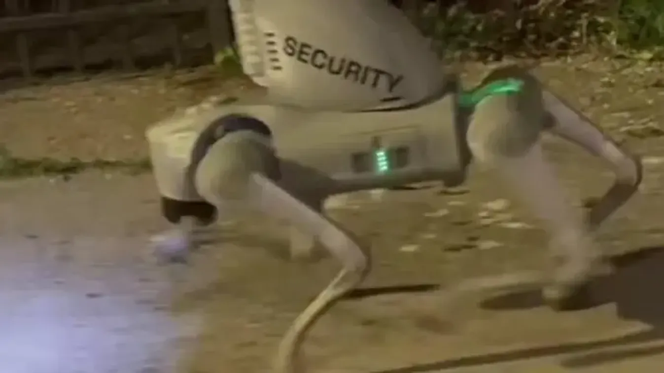 Robotkutyák űzték el a betolakodót - Új korszak a biztonságban