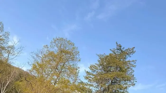 Már kora reggel választási törvényt sértett a Tisza